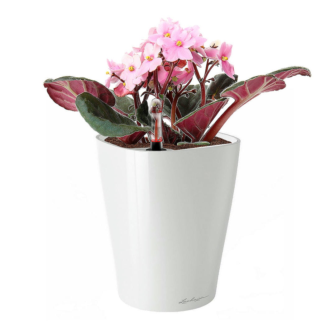 LECHUZA MINI-DELTINI