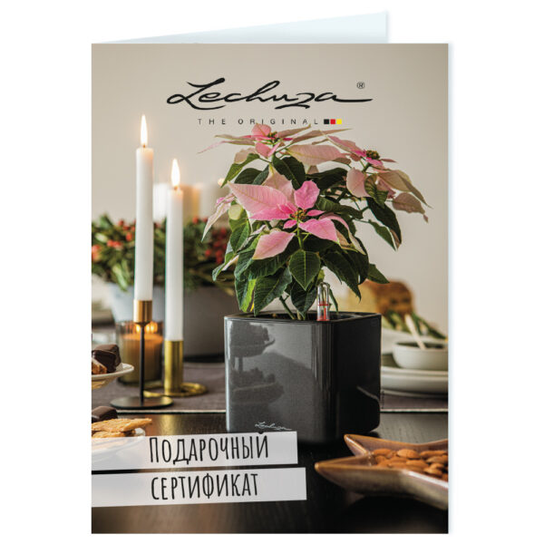 Подарочный сертификат LECHUZA Лиловый