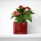 Красное кашпо с цветком